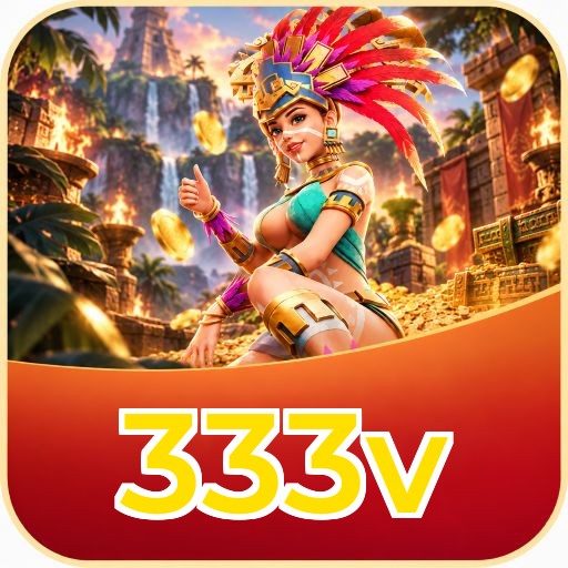 Developer Info 333v